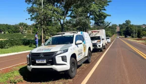 Corpo é encontrado às margens da PR-495 em Serranópolis do Iguaçu - Guia Medianeira
